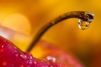 /album/water-drops/senza-titolo-6328-2-jpg/